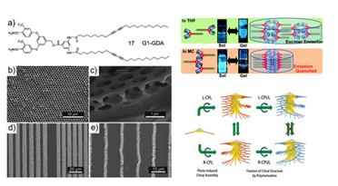 Self-assembled Soft Materials