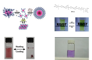 Functional Macromolecules